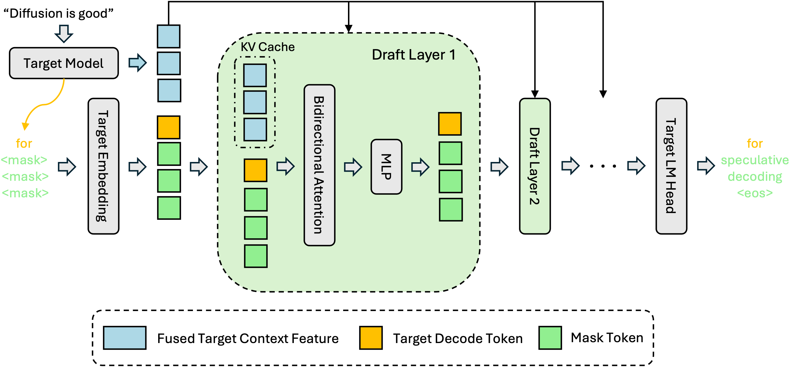 DFlash inference pipeline. Hidden features from multiple target model layers are fused and injected into the KV cache of every draft layer, providing persistent conditioning throughout the model.